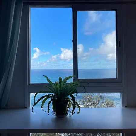 カーサナーガ Almáciga