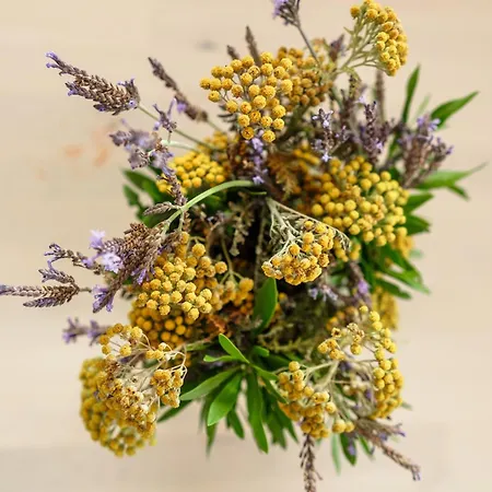 ゲストハウス カーサナーガ *