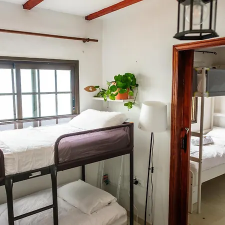 ゲストハウス カーサナーガ Almáciga