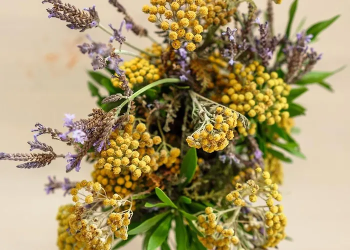 Pensionat Casanaga *